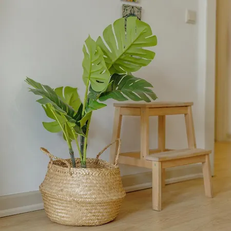 Alegria Flat Center With Elevator By Vacationy * Oporto