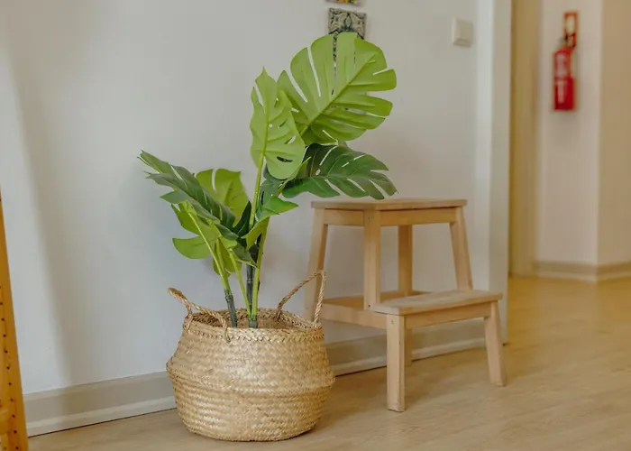 Alegria Flat Center With Elevator By Vacationy * 波尔图